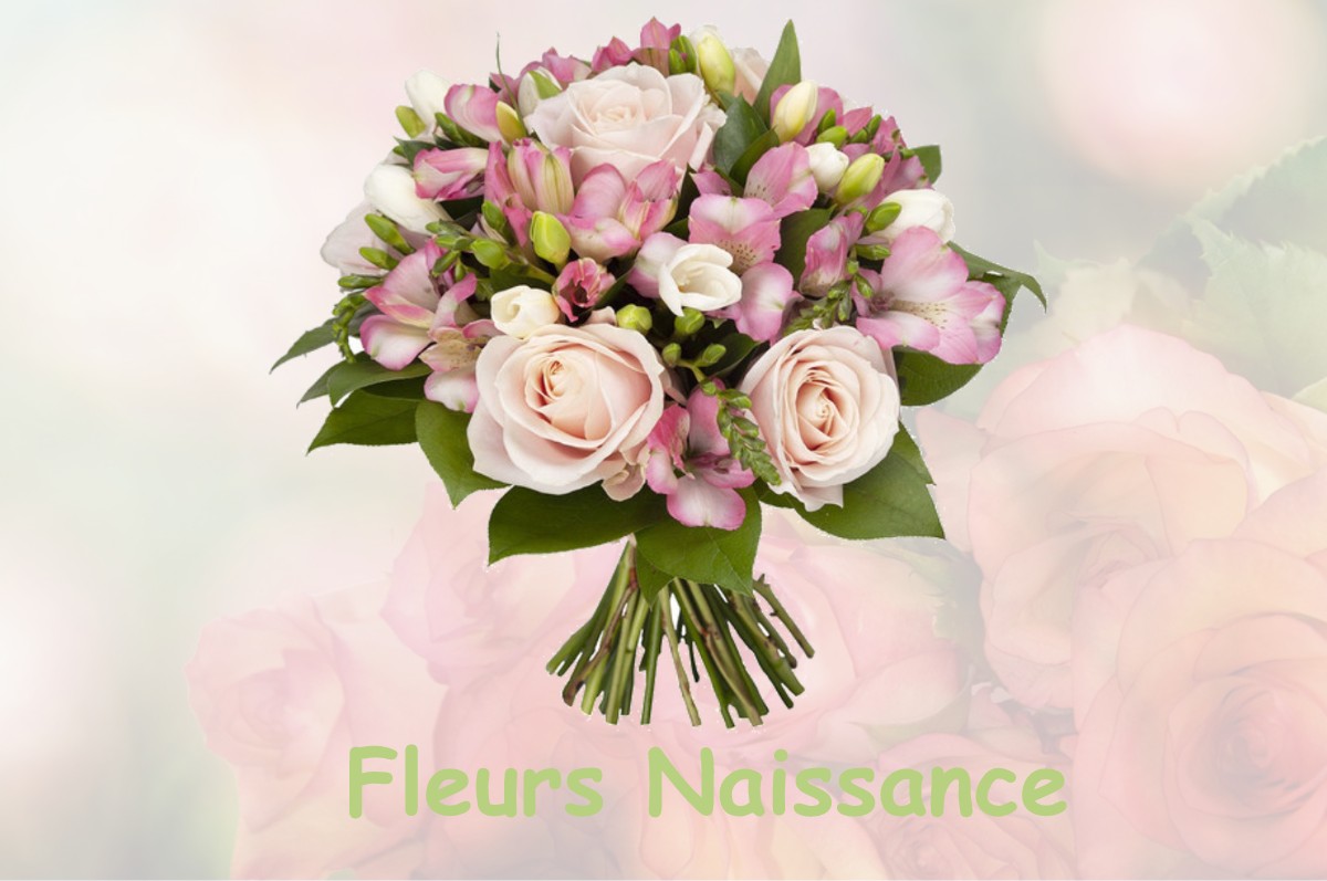 fleurs naissance SAINTE-AGNES