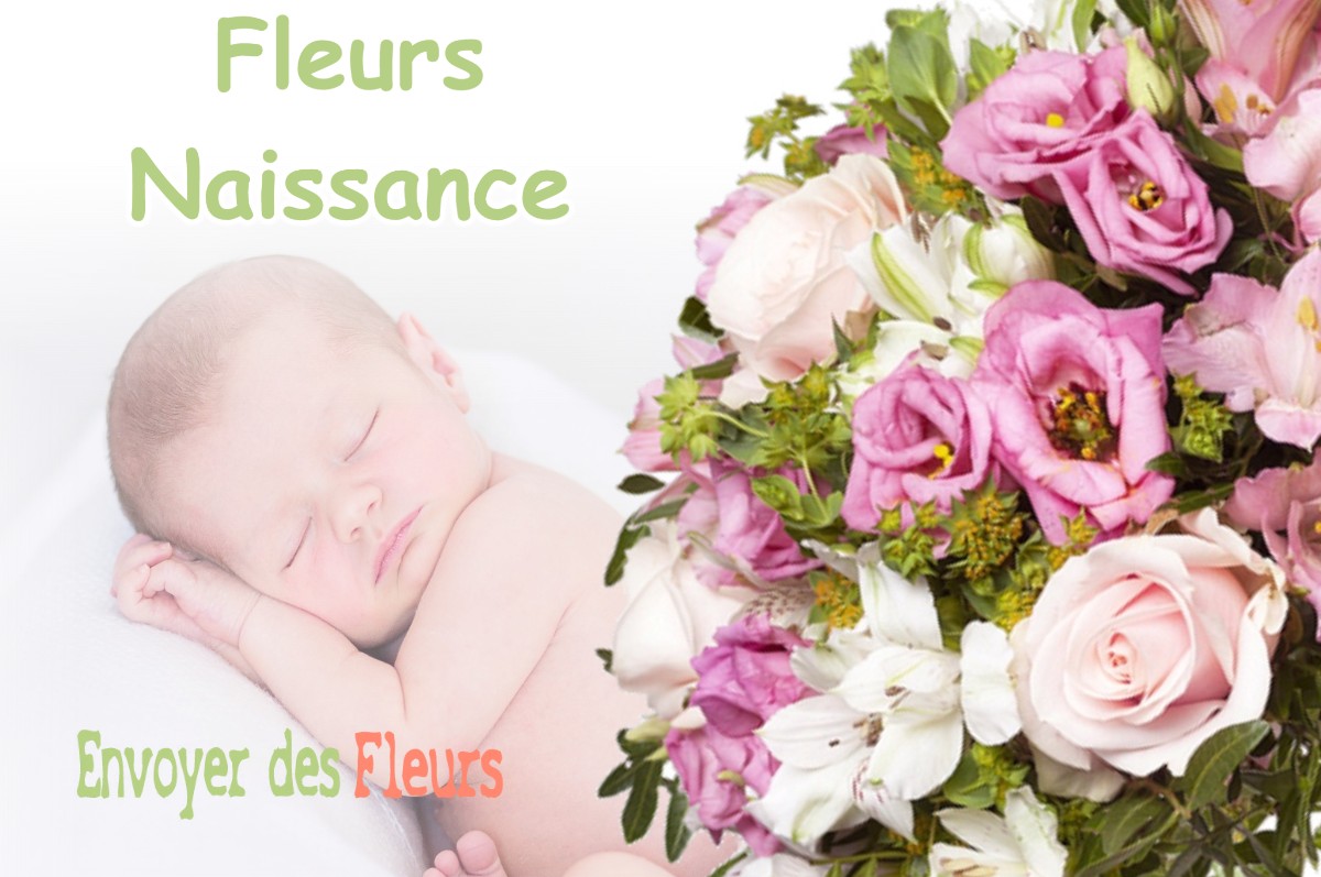 lIVRAISON FLEURS NAISSANCE à SAINTE-AGNES